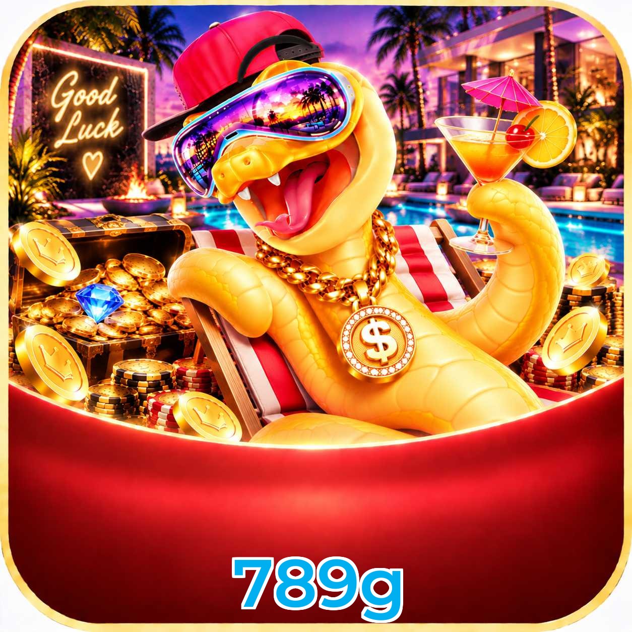 789g Suporte