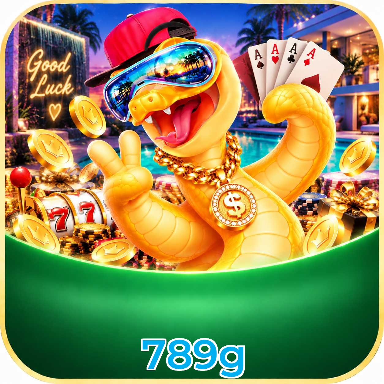 789g FAQ