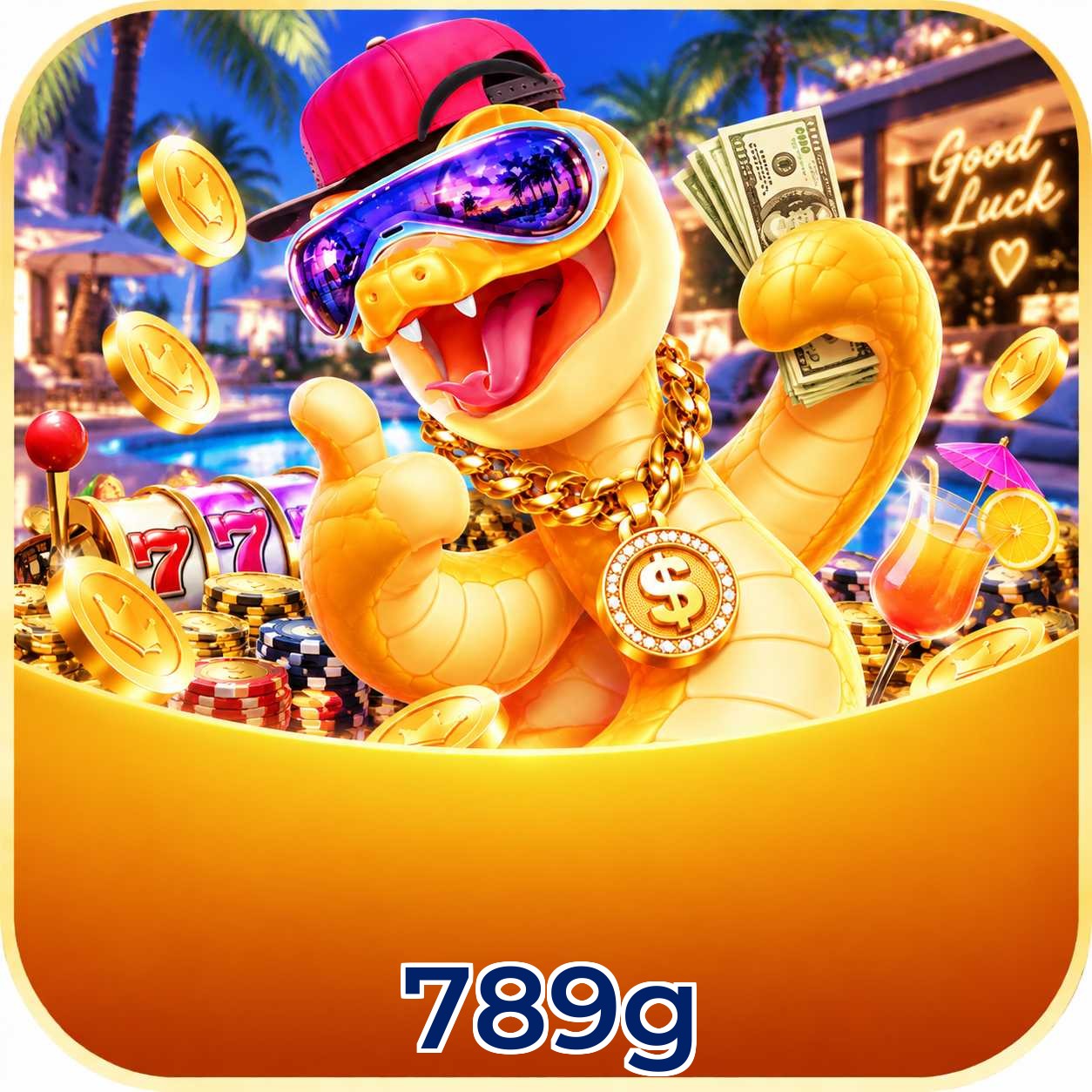 789g VIP Níveis