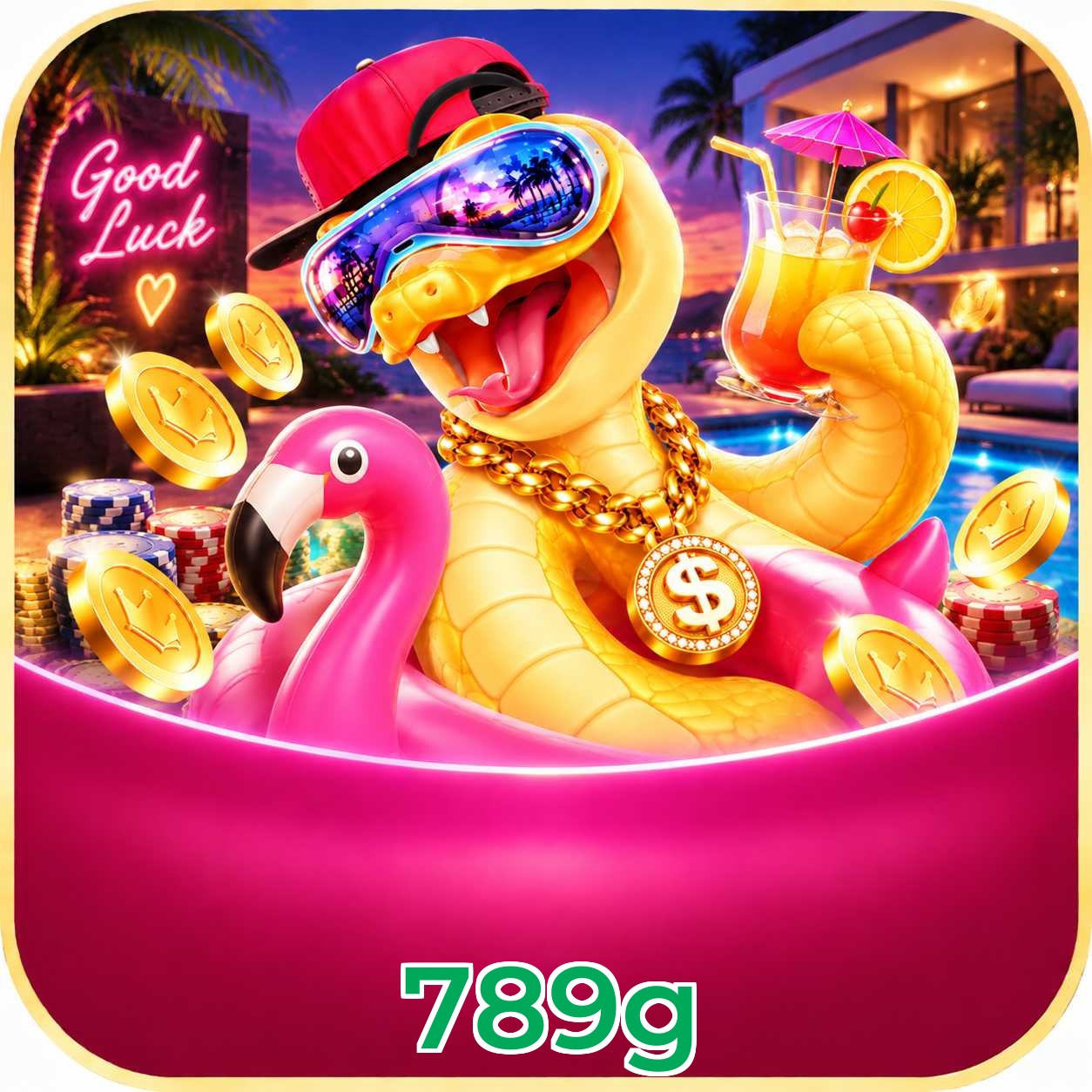 789g Version History