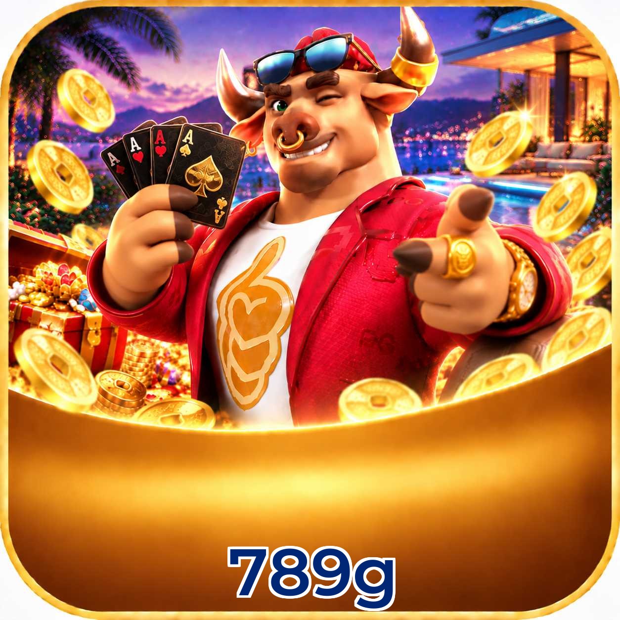 789g FAQ instalar app